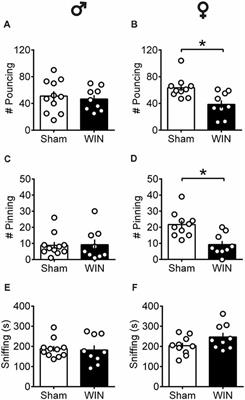 Sex Differences in the Behavioral and Synaptic Consequences of a Single in vivo Exposure to the Synthetic Cannabimimetic WIN55,212-2 at Puberty and Adulthood